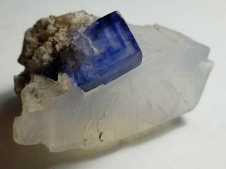 Natural Blue Halite Crystal in Sylvite,  Intrepid Potash Mine,  Carlsbad,  NM 2