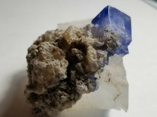 Natural Blue Halite Crystal in Sylvite,  Intrepid Potash Mine,  Carlsbad,  NM 3