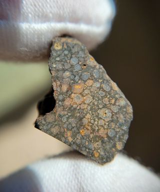 Nwa 13385 Cvred3 Primitive Carbonaceous Chondrite Meteorite 5g End Cut Box &