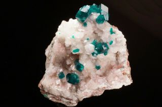 Extraordinary Dioptase On Calcite Crystal Cluster Tsumeb,  Namibia