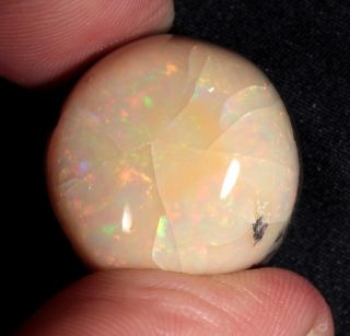 61 Ct Precious Cream Colored Opal From Mezezo,  Ethiopia (stable Old Stock)