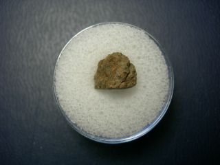 Nwa 4439 Meteorite Co3 Carbonaceous Chondrite Ornans Type Northwest Africa Imca