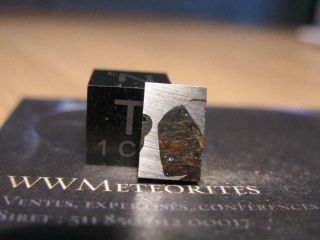 Meteorite Esquel (argentina) - The Pallasite Queen