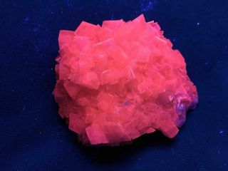 Kb: Fantastic Fl.  Red Sw Calcite Xls.  From Tsumeb Mine,  Namibia