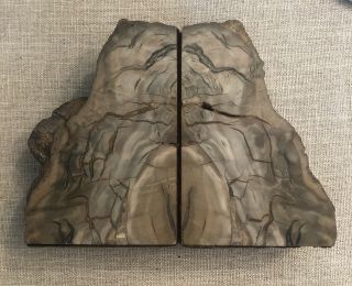 Petrified Wood Bookends Arizona Matching Pair 4.  4 Pounds