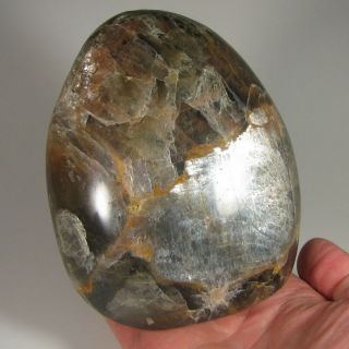 4.  9 " Black Moonstone Polished Freeform Standup Stone - Madagascar - 2.  6 Lbs