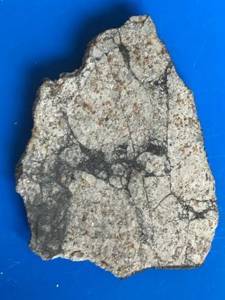 4 Gram Meteorite - Vinales L6 Chondrite - End Cut With Matrix