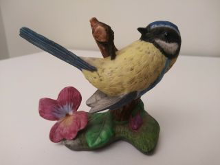Blue Tit Porcelain Figurine - Franklin " Birds And Blossoms Of The World 86