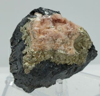 Rhodochrosite On Pyrite Thumbnail :eagle Mine,  Gilman,  Colorado,  Rare