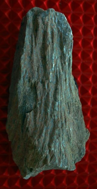 Museum Specimen 1.  136 - Kilo (2.  5) Santa Fe Mexico Usa Shatter Cone Impactite