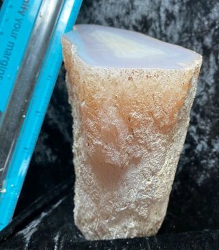 Polished Limb Cast - 3.  19 Pounds Solid Agate