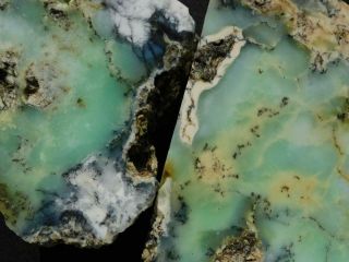 Rimrock: 6.  20 Lbs Australian Dendritic Opal Rough