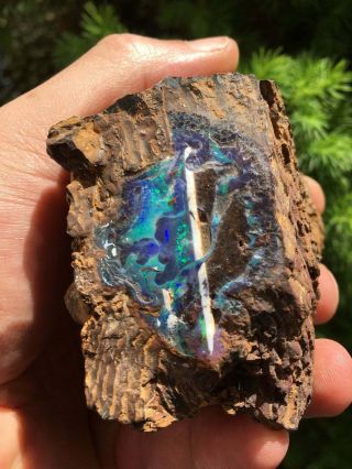 Fantastic Australian Boulder Opal Specimen Nr