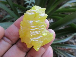 Sulfur - Agrigento,  Italy - Stunning Crystal - 5x4x2cm 23grams