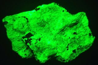 Frankli Nj Fluorescent Mineral - Gemmy Apple Green Willemite With Black Franklinit