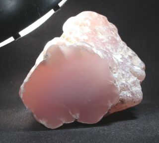 Pink Agate (chalcedony) Wood From Texas Springs,  Nevada 154 Grams Miocene