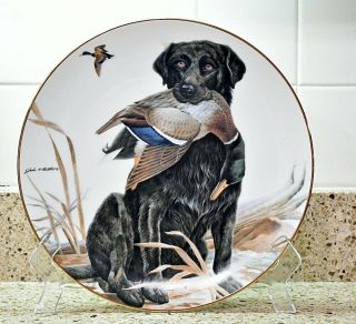 Crown Parian Decoy Black Labrador By John A.  Ruthven Collectible Dog Plate