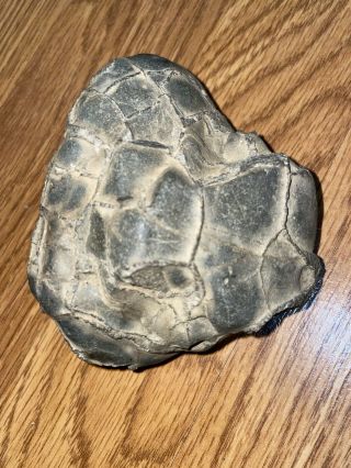 Septarian Nodule Stone - Geode Crystal Healing stone vintage 2