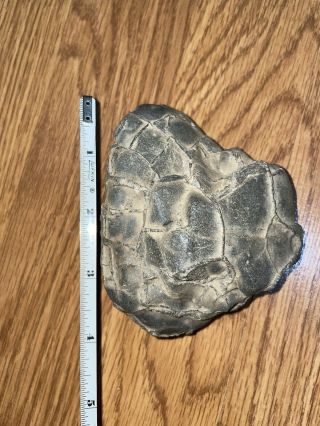 Septarian Nodule Stone - Geode Crystal Healing stone vintage 3