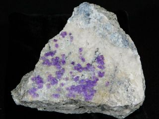 A PURPLE Fluorite Crystal Cluster From The Sweet Home Mine Colorado 534gr 3