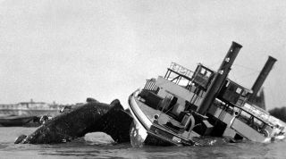 1959’s The Giant Behemoth Dinosaur Nudges Ferry B/w 6x10 Scene
