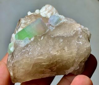 165 G Bi Color Tourmaline Crystal Specimen From Afghanistan