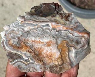 Crazy Lace Agate Slab Lapidary Rough Cabbing