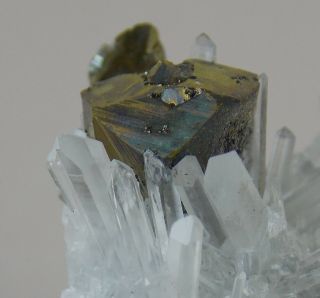 Chalcopyrite On Quartz Crystals - 4 Cm - Animon Mine,  Peru 23847