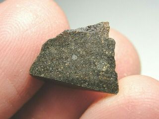 Nwa 1232 Carbonaceous Co3 Chondrite - 1232 - 0015 - 2.  06g - Rare End Cut