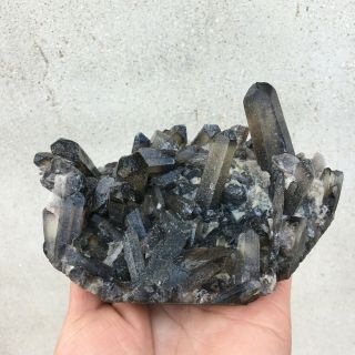 490g Rare Rare And Mineral Specimen Of Black Quartz Crystal Clusdb3162