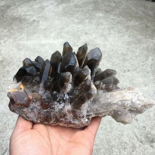 940G Rare rare and mineral specimen of black quartz crystal cluDB2208 2