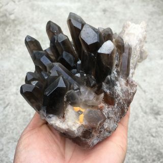 940G Rare rare and mineral specimen of black quartz crystal cluDB2208 3