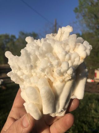 Reilly’s Rocks: White Aragonite Cluster From Morocco,  1.  75 Lb