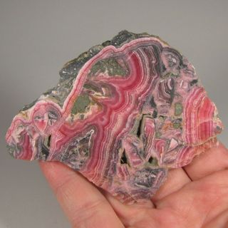 3.  5 " Banded Pink Rhodochrosite Polished Gemstone Slab Slice - Argentina