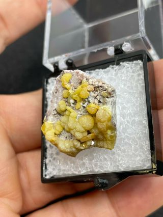 Unknown Mineral Specimen In Thumbnail Box - Vintage Estate Find