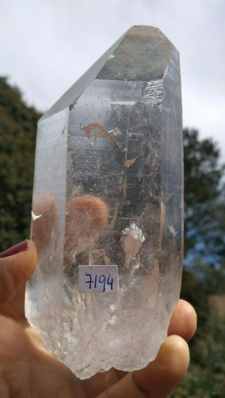 5 1/3 " Natural Colorless Lemurian Crystal Quartz - Brazil