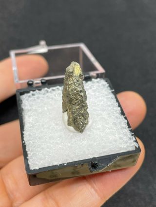 Unknown Metallic Mineral Specimen In Thumbnail Box - Vintage Estate Find