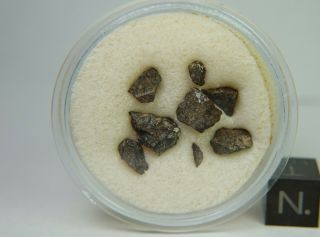 Nwa 2769 Meteorite Cutting Scraps 1.  25 Grams Found 2004 Ll3.  2 Only 126 Grams