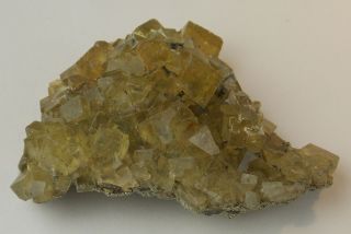 Yellow Fluorite Crystals With Pyrite - 6.  9 Cm - Villabono,  Spain 24474