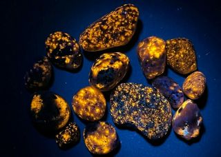 30g Bright Yooperlite Sodalite Rock Crystal Mineral Fluorescent Usa Dn72