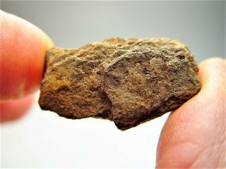 Very Rare Bendego Iron Meteorite Brazil 15 Gms