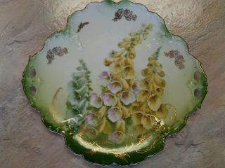 Vintage P & T Germany Hand Painted Foxglove Floral Decorative Handled Plate 2