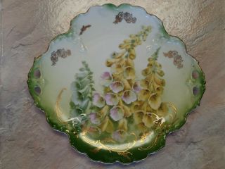 Vintage P & T Germany Hand Painted Foxglove Floral Decorative Handled Plate 3