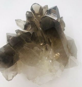 1.  2 Lb.  Natural Smokey Quartz Cluster Mineral Specimen 5.  25x4.  25x3