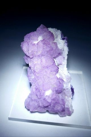 Wild West - Purple Fluorite Crystals On Quartz,  Mine Tombstone Arizona