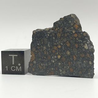 5.  579 G Nwa 7865 W/coa - Cv3 Carbonaceous Chondrite Meteorite - Tkw 1480 G