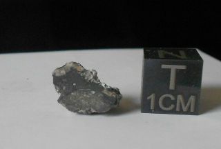 Meteorite Nwa 13859 (lunar) - 0.  6 G