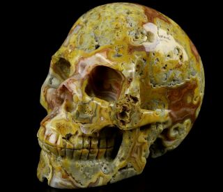 Huge 5.  0 " Crazy Lace Agate Carved Crystal Skull,  Realistic,  Crystal Healing