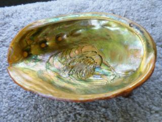 Vintage Abalone Shell Trinket Dish Bowl Footed Large