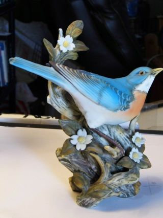 Homco Masterpiece Porcelain 1984 Eastern Bluebird Bird Figurine Cond.